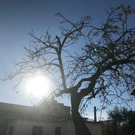 Impero 6 * Scauri (Lazio)